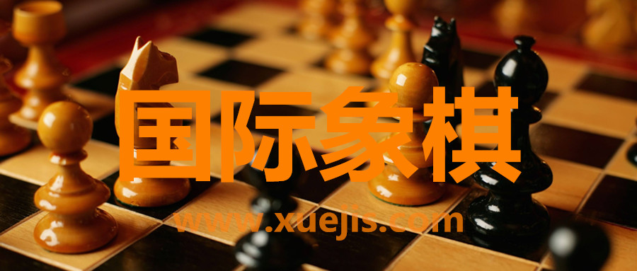 國際象棋視頻教程  百度網盤插圖