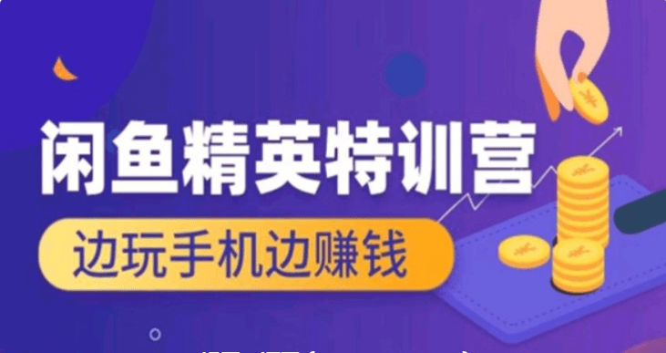 翼牛學(xué)堂：閑魚精英特訓(xùn)營進(jìn)階班，邊玩手機邊賺錢價值4999元-百度云網(wǎng)盤教程視頻插圖