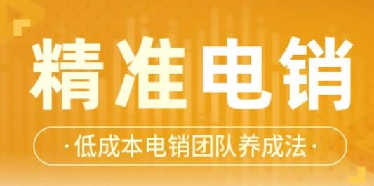 張搏《精準電銷》電話銷售技巧，低成本電銷團隊養成法_百度云網盤資源教程插圖