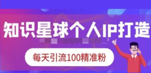 知識星球個人IP打造系列課程，每天引流100精準粉【視頻教程】百度網盤插圖