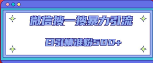 微信搜一搜引流全系列課程，日引精準粉500+（8節課）百度網盤插圖