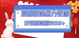 豆瓣精準暴力引流，日引精準粉500+【12課時】百度網盤插圖