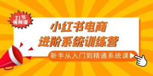 小紅書電商高階系統教程，新手從入門到精通系統課百度網盤插圖