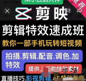 特效羅剪輯特效速成班：一部手機玩轉短視頻提供上千款特效素材插圖