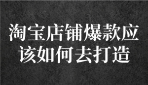 冠東?爆款店鋪淘系爆款選品方法，一個好選品思路決定是否盈利百度網(wǎng)盤插圖