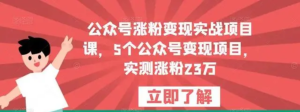 公眾號漲粉變現實戰項目課，5個公眾號變現，漲粉23萬百度網盤插圖