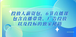 三里屯?投放人薪資包，6節(jié)直播課，直播帶貨、廣告投放獨(dú)家秘籍百度網(wǎng)盤插圖