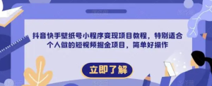 抖音快手壁紙號小程序變現項目教程，適合個人短視頻掘金項目百度網盤插圖