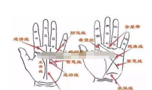 《傳統手相結合西方占星理論》零基礎入門到精通百度網盤插圖