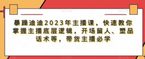 暴躁迪迪2023年主播課，快速教你掌握主播底層邏輯，開場留人塑品話術等，帶貨主播必學百度網盤插圖