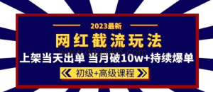 2023網紅·同款截流玩法初級+高級課程-上架破10w+持續(xù)爆單百度網盤插圖