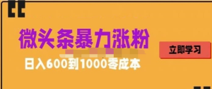 微頭條暴力漲粉技巧搬運文案就能漲幾萬粉絲，0成本日賺600百度網(wǎng)盤插圖