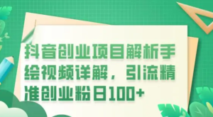 抖音創業項目解析手繪視頻詳解，引流精準創業粉百度網盤插圖