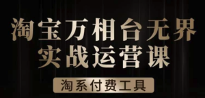 滄海?淘系萬相臺無界實戰運營課，萬相臺案例解析百度網盤插圖