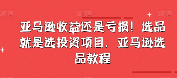 亞馬遜收益還是虧損！選品就是選投資項目，亞馬遜選品教程插圖